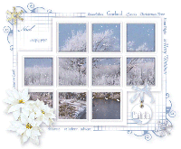 Snow windows.gif